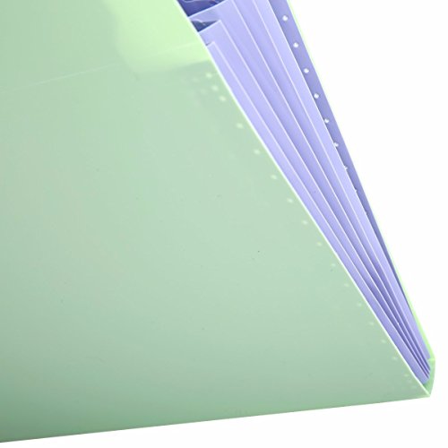 Classification Folders Portable File Folder Tabs Lateral File Folders Accordion File Jackets(Green)