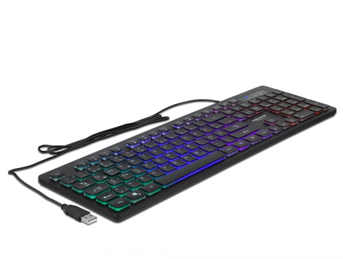 Delock USB Wired Keyboard 1.5 m Black with RGB Lighting