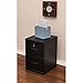 Z-Line Designs 2-Drawer Vertical File Cabinet, Black