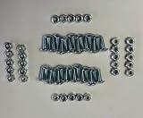 Murray/Craftsman/NOMA SNOWBLOWER Hardware KIT for 302565MA Paddles 60 Pieces