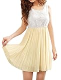 Allegra K Women's Scoop Neck Sleeveless Lace Upper Above Knee Dress