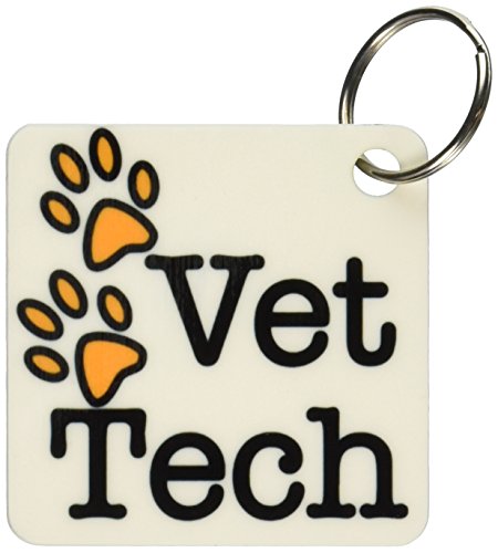 3dRose Vet Tech, Orange - Key Chains, 2.25 x 4.5 inches, set of 2 (kc_161090_1)