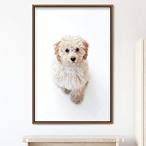 signwin Framed Canvas Wall Art Pupper Animals Chic...