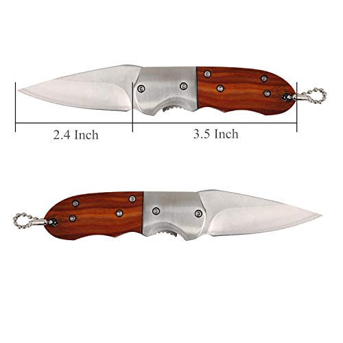Folding Small Pocket Knife 3 inch Blade Frame Lock Outdoor Mini Pocket