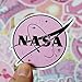 53PCS Mixed Different Pink NASA Space Girl Stickers Cute Flamingo Shark for Kids Laptop Skateboard Toy Stickers (Pink Space)