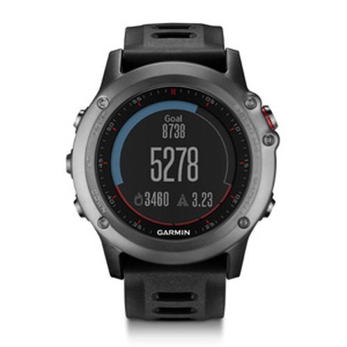 Garmin fenix GPS Watch, Gray