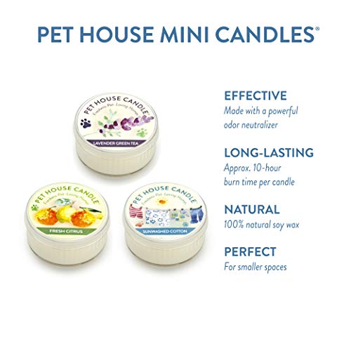 One Fur All Pet House Mini Candle Set, Pack of 3 Top 3 Candles Pet