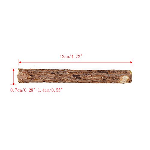 Cat Cleaning Teeth Pure Natural Catnip Pet Cat Molar Toothpaste Stick Silvervine Actinidia Fruit Matatabi Cat Snacks Sticks