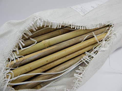 Grower's Edge Natural Bamboo Plant Stakes - 6 ft (50/Pack) (740760)