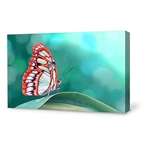 Wall26-Canvas Wall Art-Beautiful Butterfly-Giclee Painting Wall Art for Bedroom Living Room Home Decoration - 12x18 inches