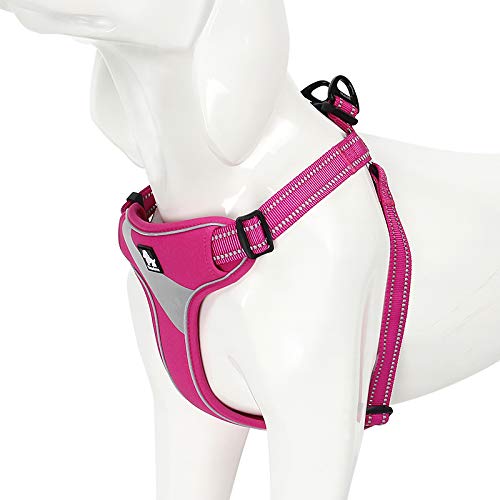 WINHYEPET Dog Harness Reflective Pet Harness Adjustable for Running Walking Padded Soft Mesh Dogs Vest Easy Control for Small Medium Large Pets TLH5991