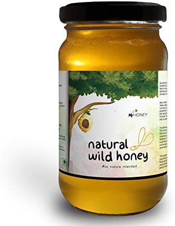 Hi Honey Raw Organic Wild Honey by Saurashtra Honey Bee Farm| an Ayurvedic Remedy for Weight Loss, Cough and Digestive Problems (530gm) - Glass Jar
