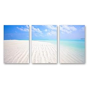SIGNFORD 3 Piece Canvas Wall Art for Living...