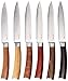 6 Piece Steak Knives Set Japanese Stainless Steel (With Gift Box)