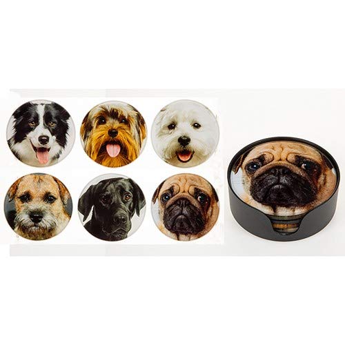 Shudehill Giftware Glass Dog Image Coasters Set of 6