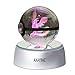 AXAYINC 3D Crystal Ball LED Night Lights Advance Laser Engraving Children's Gift (TYJL)