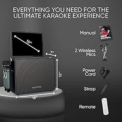 Professional Karaoke Machine with Lyrics Display