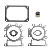 Goodeal Valve Gasket Kit for Briggs & Stratton 794152 690190 Engine 310707 310777 311707