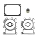 Goodeal Valve Gasket Kit for Briggs & Stratton 794152 690190 Engine 310707 310777 311707 primary