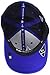 Top of the World Phenom Memory Fit 1Fit Hat Team Color Icon