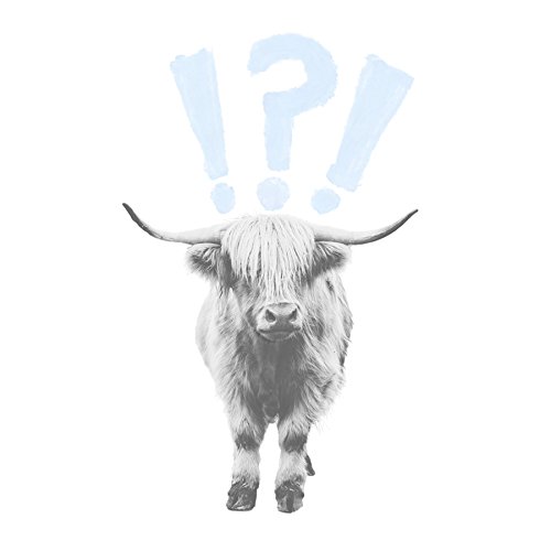 Wee Blue Coo Scottish Highland Hairy Coo Cow Surprised Expression Scotland Canvas Art Print