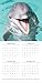 2019 Wall Calendar - Dolphins Calendar, 12 x 12 Inch Monthly View, 16-Month, Sea Animals Theme, Includes 180 Reminder Stickers
