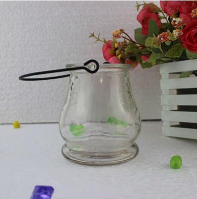 Vase Fillers Colorful glass vase creative furnishing plant bottle hydroponic flower glass vase bottle for home decoration Color Clear