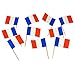 France | French Flag Toothpicks (100) primary