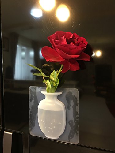 2 ELASTIX+ANTIGRAVITY+SILICONE+DECORATION+RESTAURANT