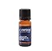 Mystic Moments | Camphor Essential Oil - 10ml - 100% Pure