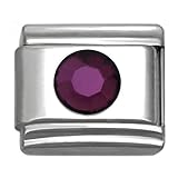 Italian Charms Round Birthstone by Month 9 mm Stainless Steel Bracelet Link (February)