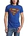 Bioworld Men's Superman Logo Tee, Royal Blue, Large