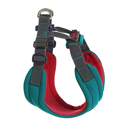 Gooby Dog Harness Turquoise, Large Convertible Sport Stepin
