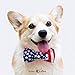 Lionet Paws Patriotic Dog Collar with Bowtie, 4th of July, Soft and Comfortable, Adjustable Collar for Small Dogs, Neck 10-16 inches