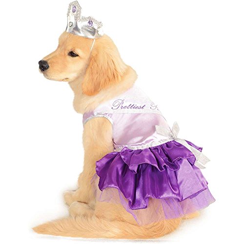 Prettiest Pooch Dog Costume