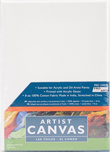 Pro Art Stretched Artist Canvas-5