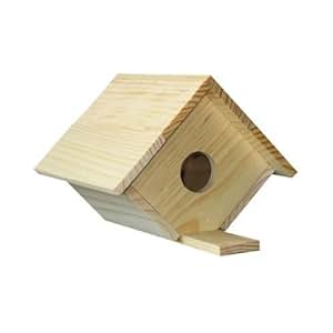 Amazon.com : Wood Bird House Kit : Childrens Wood Craft Kits : Garden