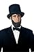California Costumes mens Honest Abe Beard Adult Sized Costumes, Brunette, One Size US