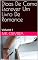 Livro Dicas De Como Escrever Um Livro De Romance : Volume I
