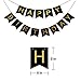 21st Birthday Decorations .Kit*Happy Birthday Banner, 12Pc Sparkling 21 Hanging Swirl Decorations,
