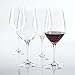 Wine Enthusiast Fusion Classic Cabernet/Merlot Wine Glasses, Set of 4