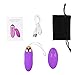 Sex Toy for Women,PPW Vibrating Egg with Remote Control,Powerful Vibrator for Clitoris Stimulation,10 Vibrations,Silicone,Waterproof Adult Toy Purple (Purple-1)