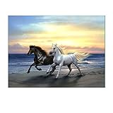 Hot Sale!!5D Embroidery Paintings Cross Stitch Rhinestone Pasted DIY Diamond Painting (C)