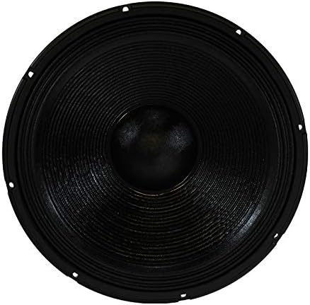 blast king 18 inch speakers