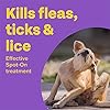 Bob-Martin-Clear-Spot-On-Flea-Treatment-for-Medium-Dogs-10-20-kg-Kills-Fleas-Ticks-Lice-Fast-Control-24-Week-Protection-3-Pipettes Bob Martin Clear | Spot On Flea Treatment for Medium Dogs (10-20Kg) | Kills Fleas, Ticks & Lice | Fast Control, 24 Week…