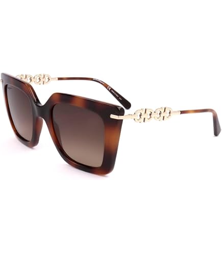 Salvatore Ferragamo Sunglasses Square Full Rim, Black Frame and