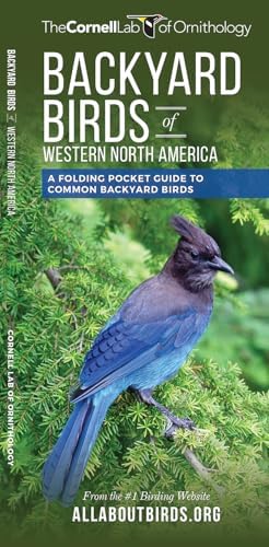 Birds of the Forest: Lansdowne, James Fenwick: 9780884860273