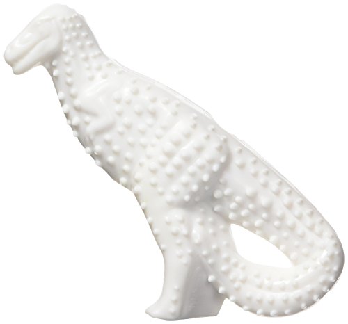 Nylabone Dura Dental Dino Small Chicken Flavor Dog Chew Toy