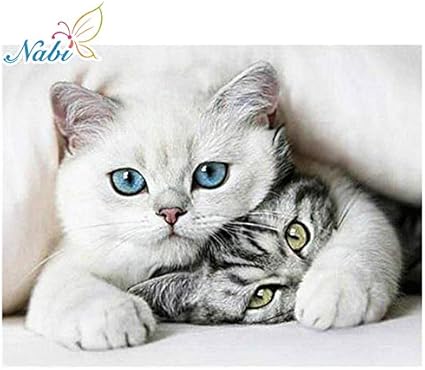 Fhgfb Diamant Broderie Chat Strass Image Diamant Dessin Point De Croix Animal Plein Diamant Mosaique Decoration De La Maison 40x50 Cm Pas De Cadre Amazon Fr Cuisine Maison