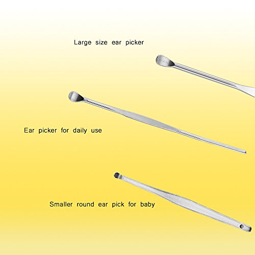 Stainless Ear Pick Cleaner Ear Scope,Earwax Removal Cleaner with Storage Box - Ear Wax Remover fit